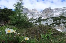 Mighty Mount Triglav Climb-summer Special-join Group