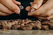 Chocolate Master Class & Taino Concept Store