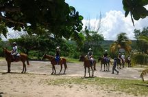 Horseback Riding and Swim from Montego Bay 