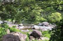 Private tour: Tokyo's Oldest Sake Brewery and riverside walk.