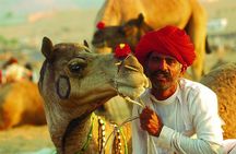 16-Days Rajasthan Tour with Agra from Delhi by,Includes,Guide,Hotels,A-C Vehicle