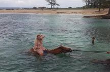Horseback Riding and Swim from Montego Bay 