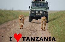 6- Day Adventure Lodge safari to see Migration