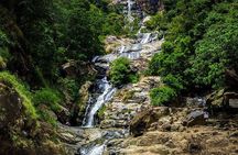 6-Day Tour of Seetha Amman Captive Life