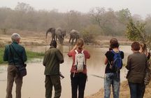 3 Days Grassroots Safari To Mole
