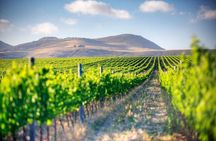 Winelands Full Day Tour