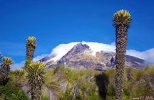 Trekking at Los Nevados National Natural Park