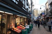 Daytime Walking Tour in Yanaka
