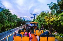 FunVee™ Sightseeing Hop On Hop Off Day Pass