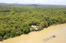 Borneo Wildlife Tour 2 Days 1 Night At Tanjung Bulat Jungle Camp Kinabatangan