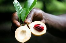 Stone Town & Spice Tour