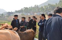 6-Day Off The Beaten Track Tour of North Vietnam from Hanoi