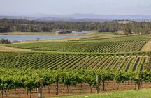 Hunter Valley Wine Tour from Sydney with Lunch and 3 Cellar Door Tastings