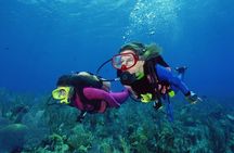 Scuba Diving Tour From Alanya - Side - Antalya