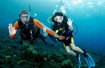 Scuba Diving Tour From Alanya - Side - Antalya