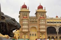 The Mysuru Maharaja Walk