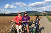 Bicycle Tour from Heidelberg to quaint Ladenburg.