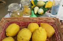 Sorrento Farm by Tuk Tuk: Cheese, Limoncello & Hands-On Pizza