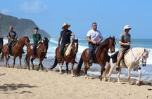 Horseback Riding through Secluded Beaches and Tropical Forests