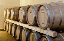 Montefalco: Winery and Oil Mill Tour in with Light Lunch