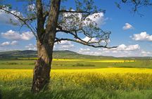 Budapest-Vienna One-Way Sightseeing Transfer