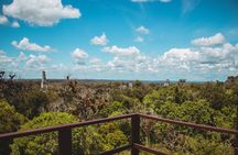Tikal Tour From San Ignacio Belize