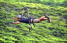 Koloa Zipline in Kauai