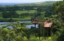 Koloa Zipline in Kauai