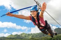 Koloa Zipline in Kauai