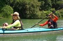Kayak Mangroves or Coral Reef: private tour in north Okinawa 