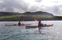 Kayak Mangroves or Coral Reef: private tour in north Okinawa 