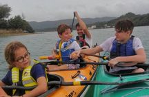 Kayak Mangroves or Coral Reef: private tour in north Okinawa 