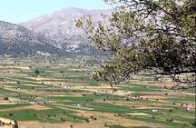 Guided Tour to Lasithi Plateau