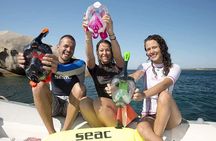Private Snorkeling Tour from Playa Grande Beach