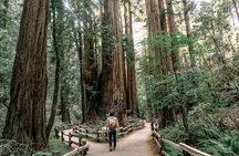 Alcatraz Tour Plus Muir Woods and Sausalito Day Trip