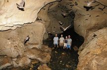 Venado Caves From Arenal