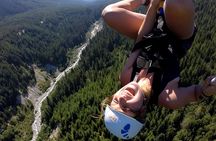 Whistler Sasquatch® Zipline