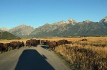 Private Tour of Grand Teton National Park