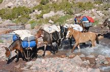 Cabalgata Cruce de Los Andes Cruce Sanmartiniano
