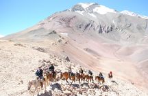 Cabalgata Cruce de Los Andes Cruce Sanmartiniano