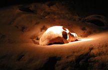 Actun Tunichil Muknal (ATM) Cave