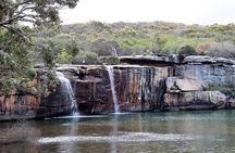 Royal National Park Private Tour