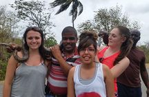 St Lucia Shore Excursion: Land & Sea Tour