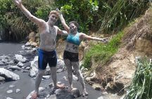 St Lucia Shore Excursion: Land & Sea Tour