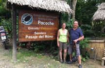 Montecristi & The Rain Forest