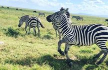 2 days Safari to Tarangire and Ngorongoro crater