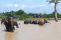 Day tour to Udawalawe from Colombo