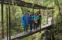Private Tour to the Nature Waterfall of La Chorrera from Bogotá
