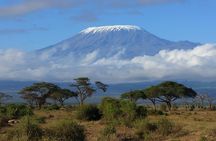 Kilimanjaro Northern Circult 
