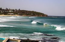 Sydney Northern Beaches Private Tour | Palm Beach & Ku-ring-gai